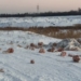 Фото: "Инцидент Омск"