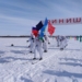 Участники военно-патриотической акции «Марш-бросок» прибыли в Исилькуль Фото: пресс-служба Правительства Омскойобласти