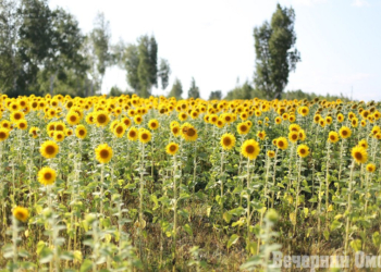Фото: Ксения Угланова