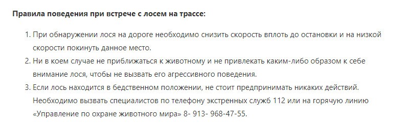 При столкновении с машиной лось оказывается в салоне: у омских сохатых начался сезон повышенной активности
