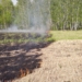 В Омской области шесть часов тушили лесной пожар Фото: Главное управление лесного хозяйства