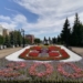 На клумбе в сквере Первомайский высадили цветы в виде герба Омской области Фото: пресс-служба администрации города Омска
