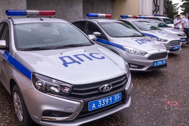 Омские полицейские помогли быстро доставить в больницу двухлетнюю девочку, упавшую с высокой горки Фото: Госавтоинспекция Омской области
