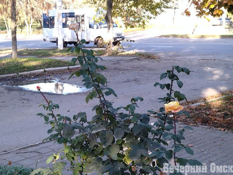 Стаханов: будни прифронтового города (ФОТО)