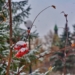 Фото: Сергей Сапоцкий