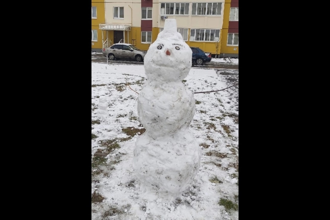 Омичи делятся фотографиями первых снеговиков
