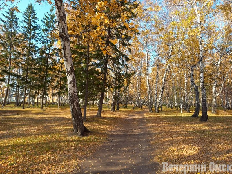 Омские синоптики продлили бабье лето до выходных Фото: Владимир Казионов