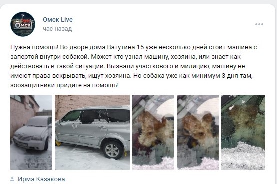 В Омске собака несколько дней просидела в машине