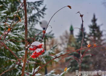 Фото: Сергей Сапоцкий