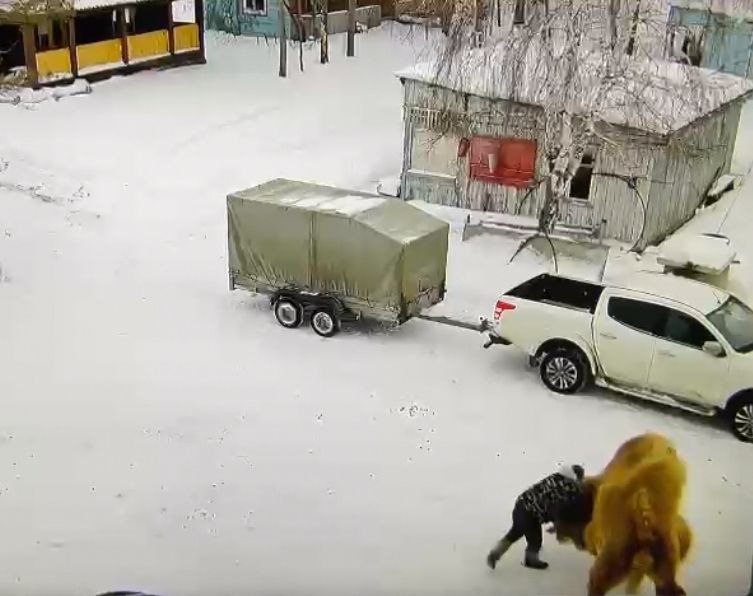 В Омской области застрелили верблюда, который убил сторожа охотничьей базы Скриншот видео: прокуратура Омской области