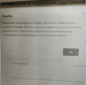 Липовые родословные и несуществующие выставки. Как на чужой доверчивости богатеют зооаферисты в Омске