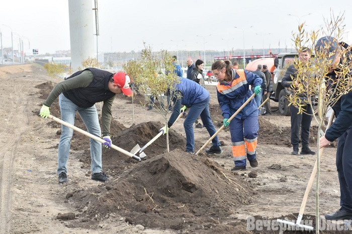 В Омске назвали даты проведения весеннего и осеннего субботников Фото: Сергей Сапоцкий