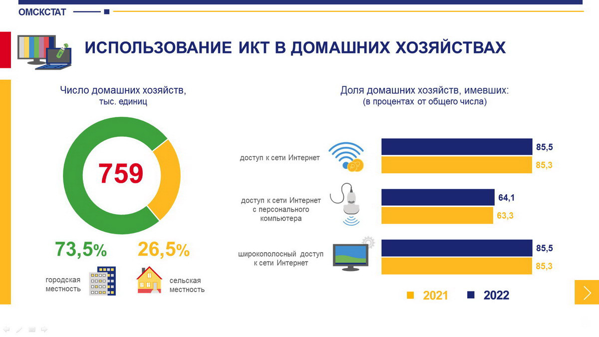 В Омскстате рассказали, сколько омичей пользуются различными интернет-сервисами