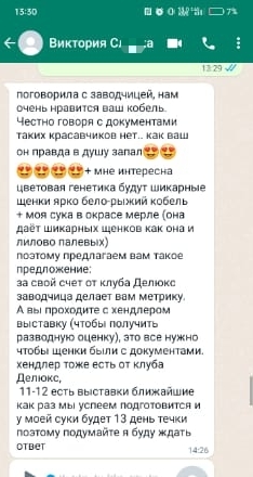 Забрали деньги и исчезли. В истории омских зоомошенниц появились новые потерпевшие