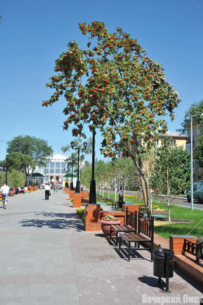 Опережая время