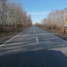 Фото: правительство Омской области