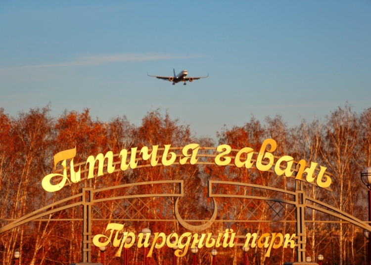 От «танколёта» до «кило-виски»: споттер рассказала о необычных самолетах, которые можно увидеть в небе над Омском