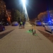 В Омске на улице Лукашевича сбили девушку на самокате Фото: Госавтоинспекция Омской области