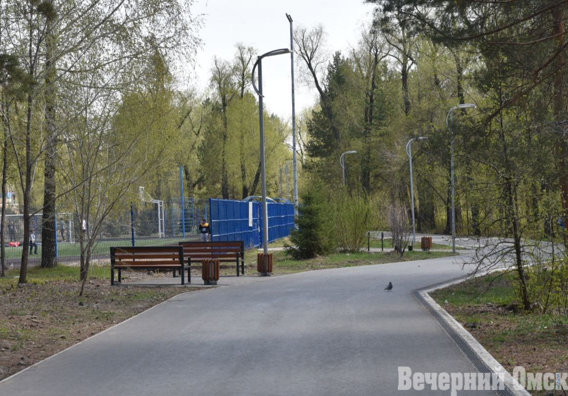 Замминистра строительства РФ отметил успехи Омска по созданию комфортной городской среды Фото: Сергей Сапоцкий