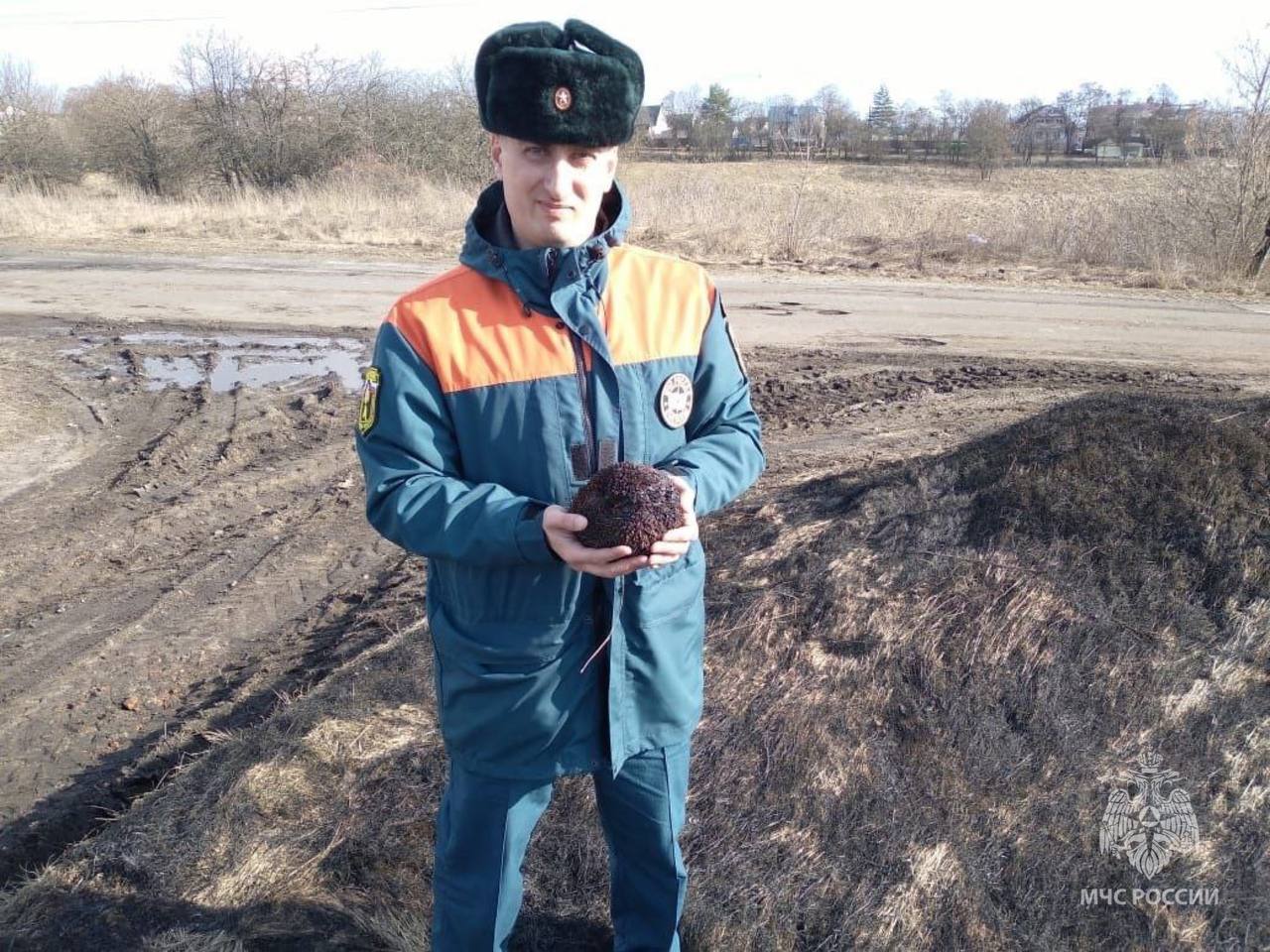 Кролики, ежики и курочка из Омской области: спасатели показали фотографии спасенных животных