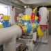 Фото предоставлено ООО «ГАЗПРОМ МЕЖРЕГИОНГАЗ ОМСК»