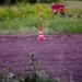 В Омской области водитель мотороллера слетел в кювет и погиб Фото: УГИБДД России по Омской области