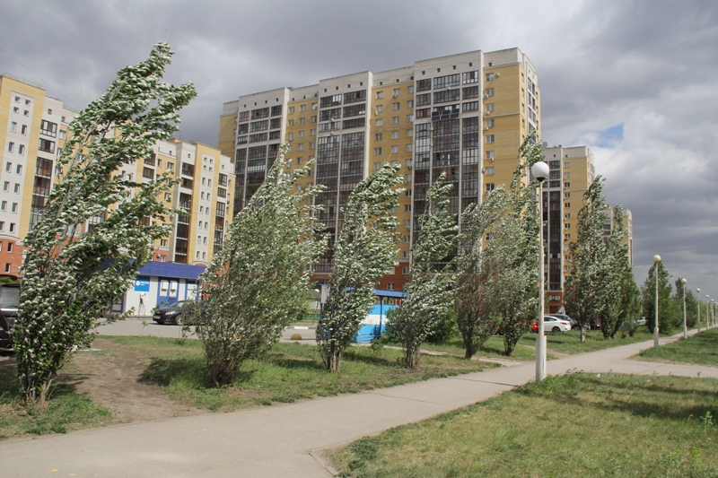 В последнюю неделю июня омичей ждет дождливая погода с грозами и сильным ветром Фото: Владимир Казионов