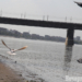 Роспотребнадзор: вода на омских пляжах непригодна для купания Фото: Владимир Казионов