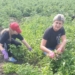Работники омского ГУЛХ помогают коллеге, муж которой ушёл на СВО
