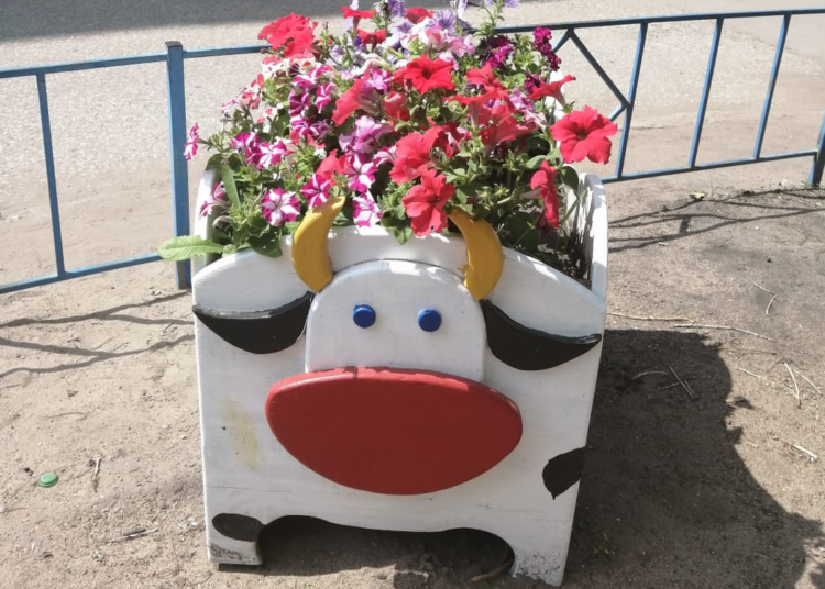 Образцовый дом в Лукьяновке, с которого соседи берут пример: рассказываем, как преобразилась многоэтажка на окраине Омска