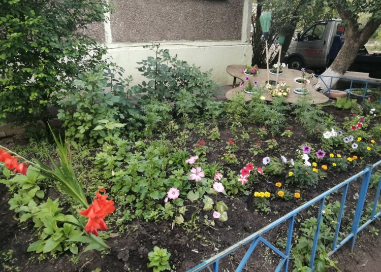 Образцовый дом в Лукьяновке, с которого соседи берут пример: рассказываем, как преобразилась многоэтажка на окраине Омска