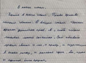 Как курица лапой: эксперты по каллиграфии и нейропсихологии рассказали омичам, как помочь ребенку писать красиво