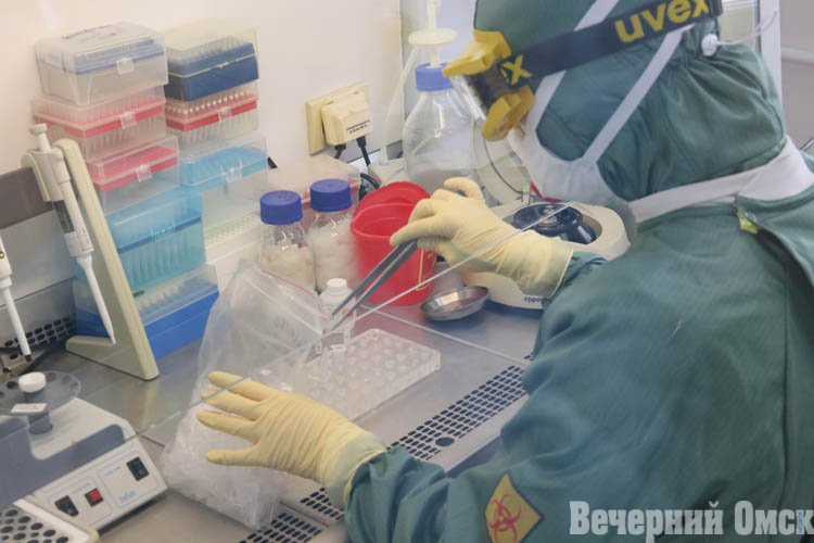 На севере Казахстана зарегистрировали вспышки сибирской язвы. Что делают в Омской области, чтобы защитить жителей? Фото: архив "Вечернего Омска"