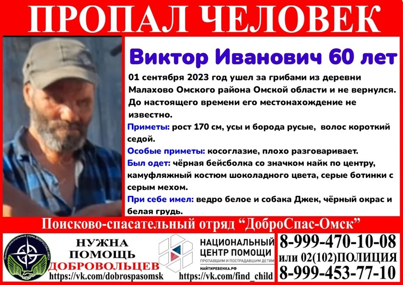Под Омском ищут грибника с собакой, пропавших 1 сентября