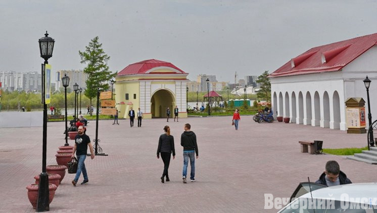 Операция для плюшевого мишки, завтрак с парфюмером и кинологический квест: куда сходить в выходные в Омске