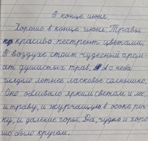 Как курица лапой: эксперты по каллиграфии и нейропсихологии рассказали омичам, как помочь ребенку писать красиво
