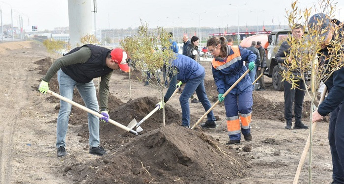 Самолёт в пшеничном поле и ещё 12 главных событий недели в Омске