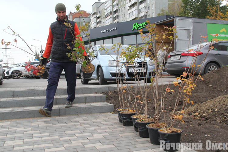 Благоустройство сквера имени Харчикова у Горбатого моста вступило в завершающий этап