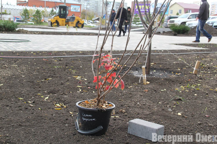 Благоустройство сквера имени Харчикова у Горбатого моста вступило в завершающий этап