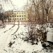 Неравнодушные омичи спасли упавшую в колодец собаку Фото: Елена Лаврик