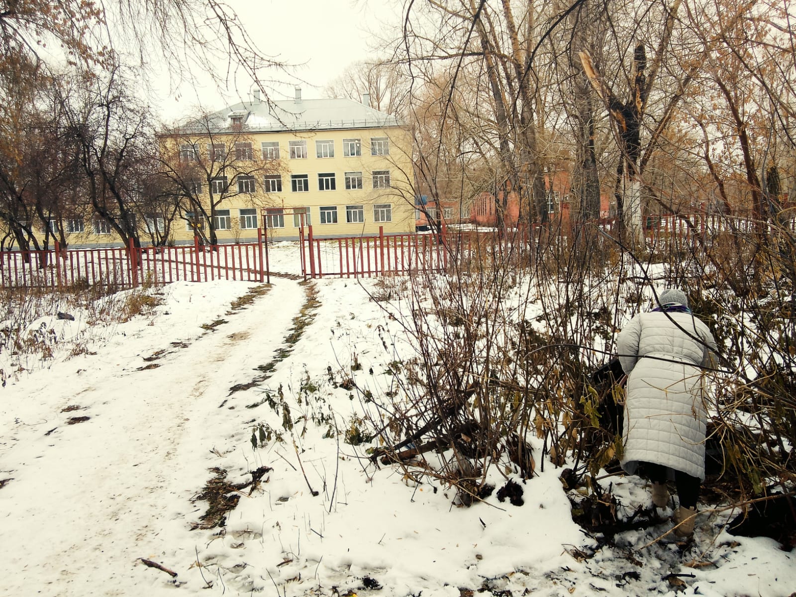 Неравнодушные омичи спасли упавшую в колодец собаку Фото: Елена Лаврик