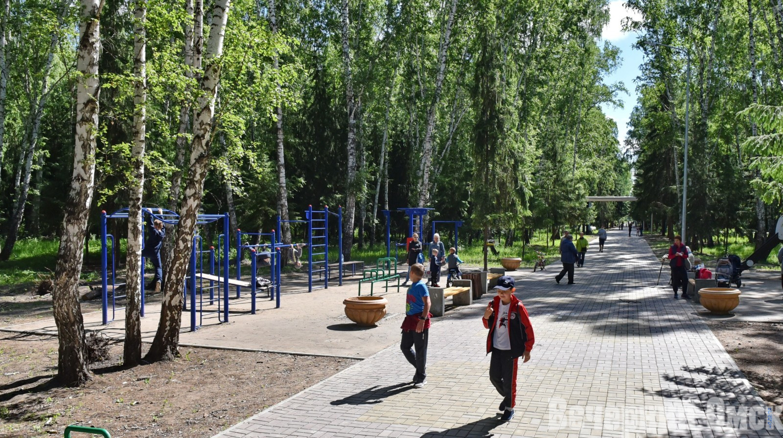 Железобетонные урны и чугунные лавочки появятся в Восточной роще Фото: Сергей Сапоцкий