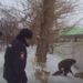 Фото: скриншот видео УМВД