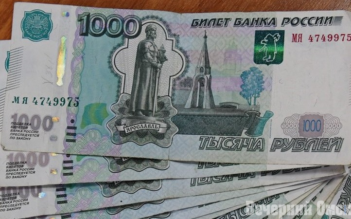 Омич отсудил тысячу рублей за отсутствие у игрушки инструкции на русском языке Фото: Сергей Сапоцкий