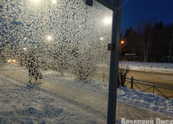 Фото: архив "Вечернего Омска"