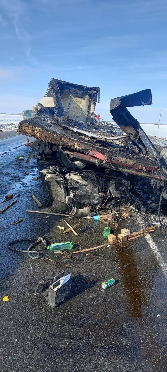 Спасатели опубликовали снимки страшной аварии на трассе Тюмень-Омск, где погибли 7 человек