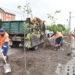 В Омске высадят 10 тысяч деревьев и 23 тысячи кустарников Фото: Сергей Сапоцкий