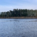 Уровень воды в Усть-Ишимском районе продолжает снижаться Фото: телеграм-канал Виталия Хоценко