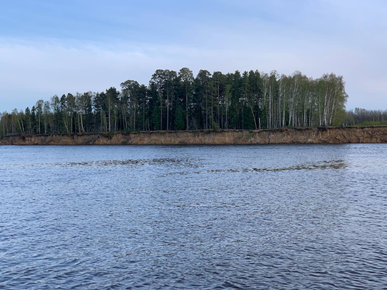 Уровень воды в Усть-Ишимском районе продолжает снижаться Фото: телеграм-канал Виталия Хоценко