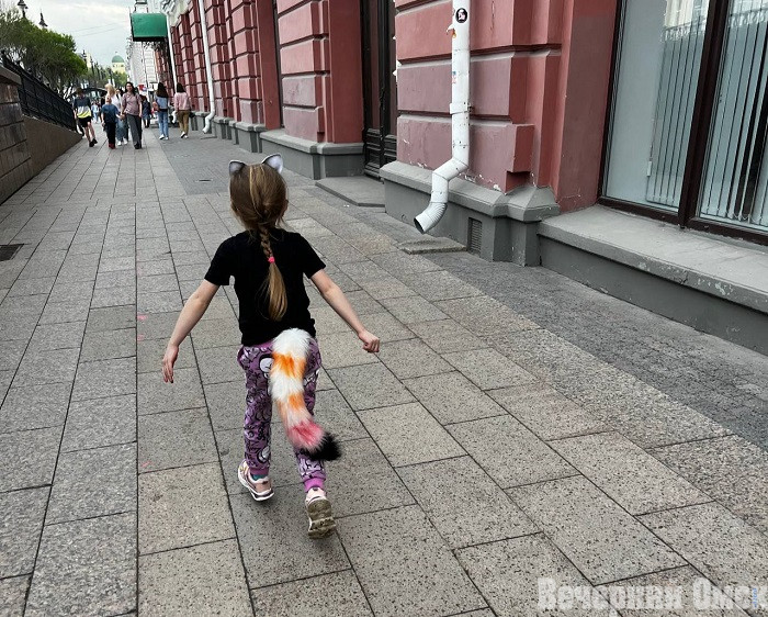 Люди-кошки появились на омских детских площадках Фото: архив "Вечернего Омска"